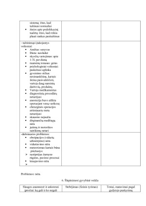 PEDAGOGINIS SLAUGOS PLANAS. Paveikslėlis 10