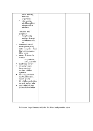 PEDAGOGINIS SLAUGOS PLANAS. Paveikslėlis 8