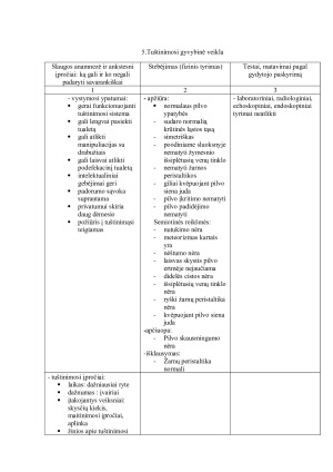 PEDAGOGINIS SLAUGOS PLANAS. Paveikslėlis 9