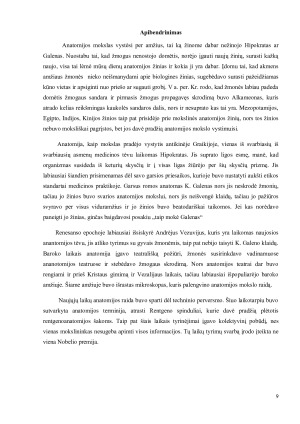 Anatomijos raida. Paveikslėlis 9