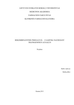 REKOMBINANTINIO ŽMOGAUS IL – 2 GAMYBA NAUDOJANT TRANSGENINIUS AUGALUS