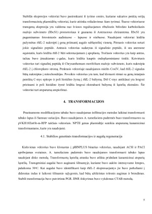 REKOMBINANTINIO ŽMOGAUS IL – 2 GAMYBA NAUDOJANT TRANSGENINIUS AUGALUS. Paveikslėlis 5