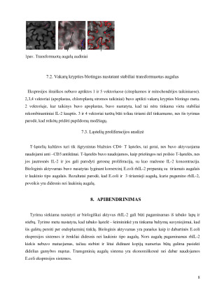 REKOMBINANTINIO ŽMOGAUS IL – 2 GAMYBA NAUDOJANT TRANSGENINIUS AUGALUS. Paveikslėlis 8