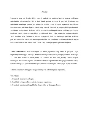Psichoaktyviosios medžiagos - Lakiosios medžiagos. Paveikslėlis 2