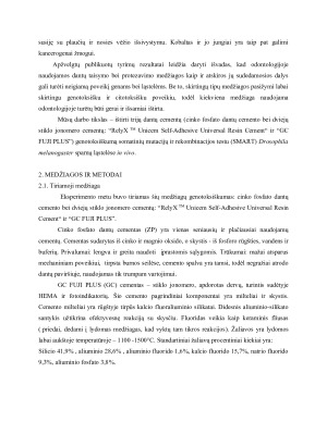 ODONTOLOGINIŲ MEDŽIAGŲ GENOTOKSIŠKUMO TYRIMAS DROSOPHILA MELANOGASTER SOMATINĖSE LĄSTELĖSE IN VIVO. Paveikslėlis 3