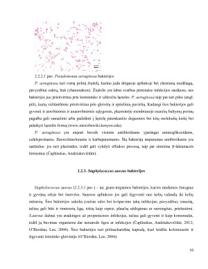 ANTIBIOTIKAMS ATSPARŪS MIKROORGANIZMAI IR JŲ PAPLITIMAS. Paveikslėlis 10