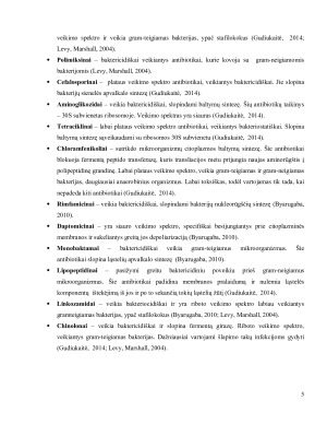 ANTIBIOTIKAMS ATSPARŪS MIKROORGANIZMAI IR JŲ PAPLITIMAS. Paveikslėlis 5