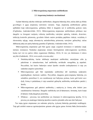 ANTIBIOTIKAMS ATSPARŪS MIKROORGANIZMAI IR JŲ PAPLITIMAS. Paveikslėlis 6