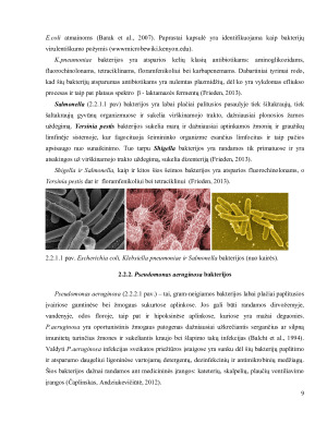 ANTIBIOTIKAMS ATSPARŪS MIKROORGANIZMAI IR JŲ PAPLITIMAS. Paveikslėlis 9