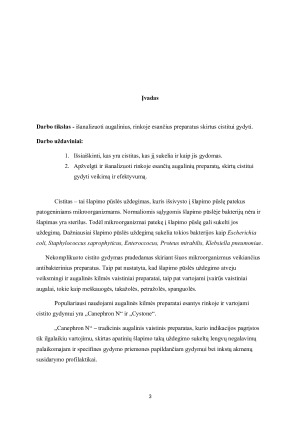 AUGALINIŲ PREPARATŲ ESANČIŲ RINKOJE IR SKIRTŲ CISTITUI GYDYTI ANALIZĖ. Paveikslėlis 3