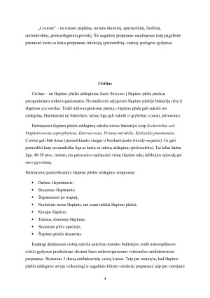 AUGALINIŲ PREPARATŲ ESANČIŲ RINKOJE IR SKIRTŲ CISTITUI GYDYTI ANALIZĖ. Paveikslėlis 4