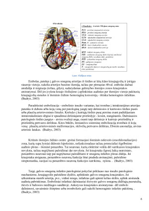 Kineziterapijos taikymas eisenos ir raumenų jėgos atstatymui po insulto. Paveikslėlis 6