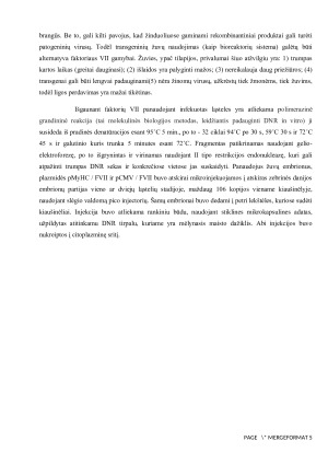 ŽMOGAUS KRAUJO KREŠĖJIMO FAKTORIAUS VII TRANSGENO IŠSKYRIMAS PANAUDOJANT ŽUVŲ EMBRIONUS IR SPECIALIAI INFEKUOTAS LĄSTELES. Paveikslėlis 4