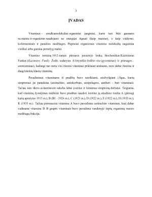 VITAMINAI. Paveikslėlis 3