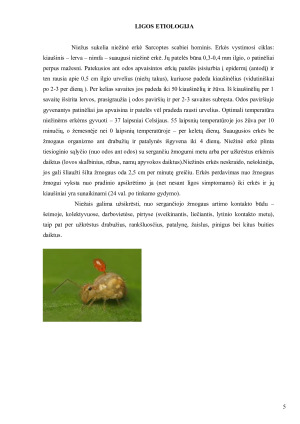 Niežai – odos parazitinė liga. Paveikslėlis 5