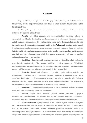 Strijos. Paveikslėlis 5