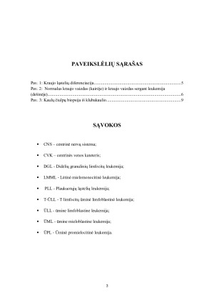 LEUKEMIJA. Paveikslėlis 3