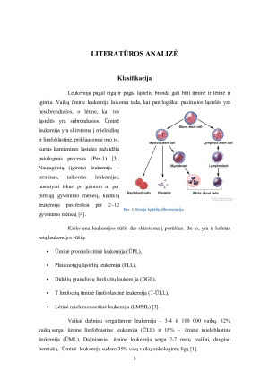 LEUKEMIJA. Paveikslėlis 5