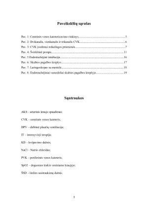 Būtinosios pagalbos ir intensyviosios  slaugos profesinės veiklos praktikos. Paveikslėlis 3