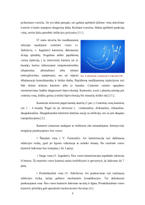 Būtinosios pagalbos ir intensyviosios  slaugos profesinės veiklos praktikos. Paveikslėlis 6