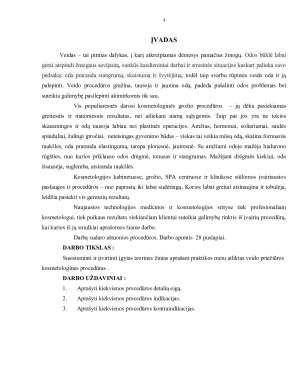 KOSMETINIŲ PROCEDŪRŲ APRAŠAI. Paveikslėlis 4