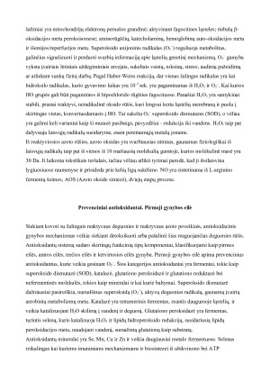 Antioksidantų ir laisvųjų radikalų reikšmė žmogaus organizmui. Paveikslėlis 4