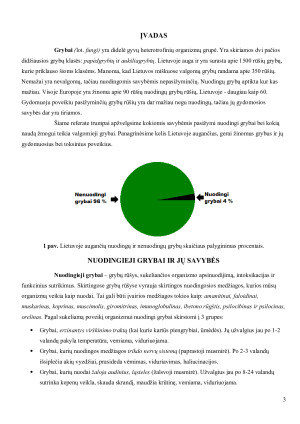 Lietuvoje augančių grybų gydomieji ir toksiniai poveikiai. Paveikslėlis 3