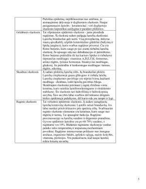 Sausa oda. Paveikslėlis 5