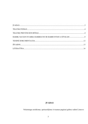 TRAUMŲ PREVENCIJOS BŪDAI. DARBŲ SAUGOS SVARBA DARBDAVIO IR DARBUOTOJO ATŽVILGIU. TEISINĖ DOKUMENTACIJA. Paveikslėlis 2