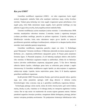 APLINKOTYRA. Paveikslėlis 4