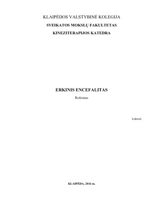 ERKINIS ENCEFALITAS (3). Paveikslėlis 1