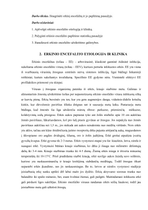ERKINIS ENCEFALITAS (3). Paveikslėlis 4