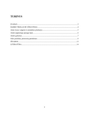 Aknės pažeistos odos priežiūra. Priemonių pasirinkimo galimybės. Paveikslėlis 2