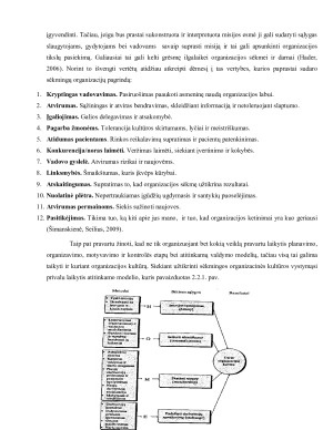 ORGANIZACIJOS KULTŪROS ĮTAKA SLAUGOS REZULTATAMS. Paveikslėlis 10