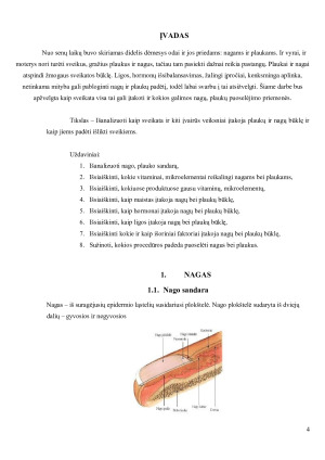 SVEIKATOS ĮTAKA NAGŲ, PLAUKŲ BŪKLEI. Paveikslėlis 4