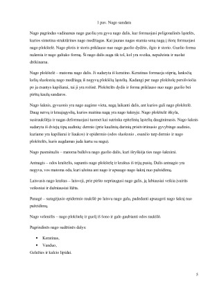 SVEIKATOS ĮTAKA NAGŲ, PLAUKŲ BŪKLEI. Paveikslėlis 5