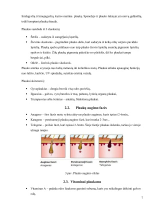SVEIKATOS ĮTAKA NAGŲ, PLAUKŲ BŪKLEI. Paveikslėlis 7