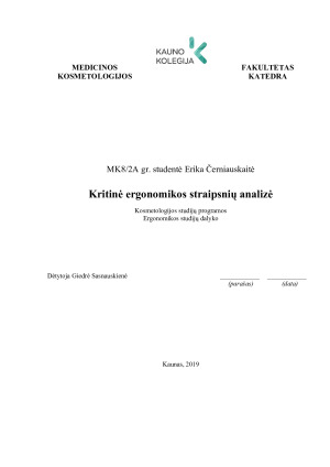 Kritinė ergonomikos straipsnių analizė
