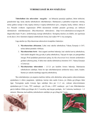 TUBERKULIOZĖ. Paveikslėlis 4