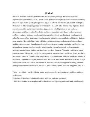 MENO TERAPIJOS  VEIKLOS ASMENIMS TURINTIEMS PSICHIKOS SVEIKATOS SUTRIKIMŲ. Paveikslėlis 3