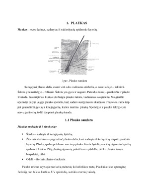 Nepageidaujamų plaukų šalinimas lazeriu bei fotoepiliacijos būdu. Paveikslėlis 4