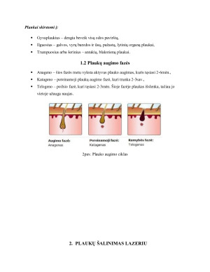 Nepageidaujamų plaukų šalinimas lazeriu bei fotoepiliacijos būdu. Paveikslėlis 5