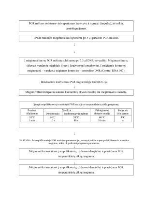 DNR IŠSKYRIMAS IŠ KAULINIO AUDINIO PGR METODU. Paveikslėlis 10