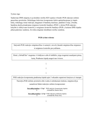 DNR IŠSKYRIMAS IŠ KAULINIO AUDINIO PGR METODU. Paveikslėlis 9