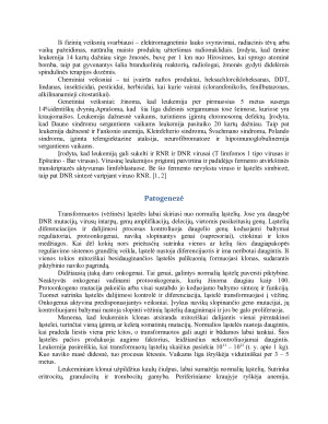 Leukemija (2). Paveikslėlis 4