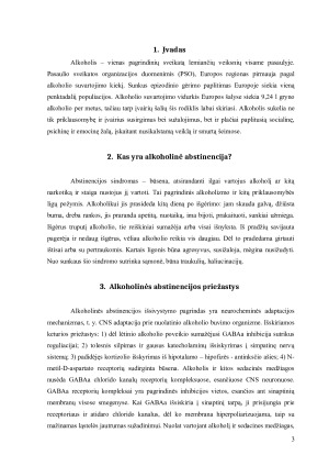 ALKOHOLINĖ ABSTINENCIJA. Paveikslėlis 3
