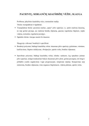 SLAUGOS PLANAS. Paveikslėlis 2