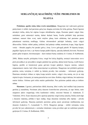 SLAUGOS PLANAS. Paveikslėlis 3