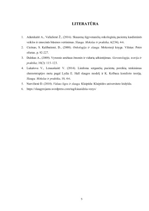 SLAUGOS PLANAS. Paveikslėlis 5