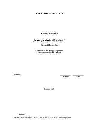 Namų vaistinėlė vaistai. Paveikslėlis 1
